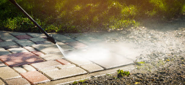 Best Driveway Pressure Washing  in North Fond Du Lac, WI